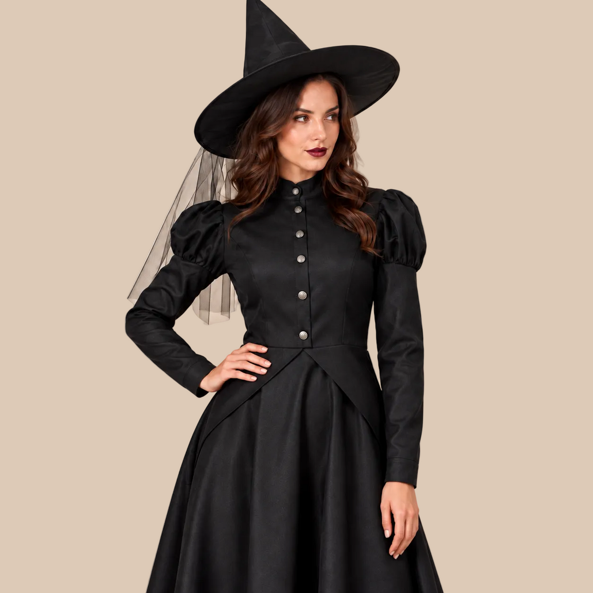 Women’s Classic Black Witch Halloween Costume
